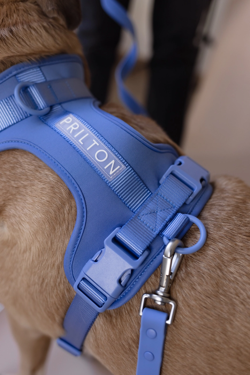 Harnas in neoprene Blauw