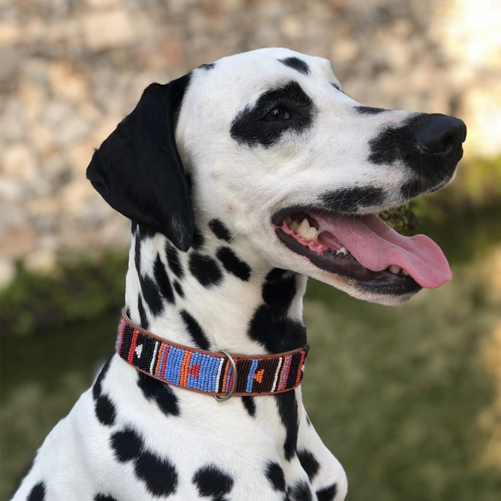 Nigeria Lederen Halsband - Afbeelding 3