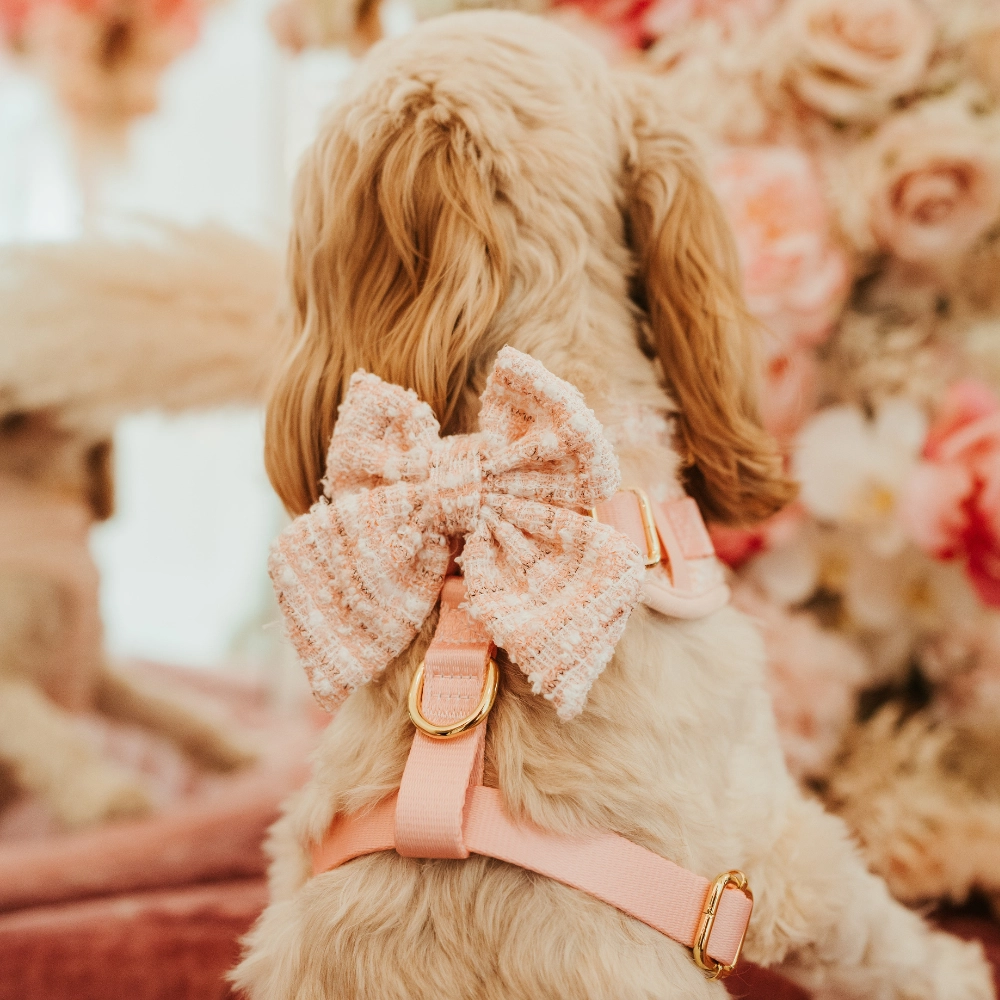 Roze Getextureerde Tweed Matrozenstrikje - Afbeelding 3