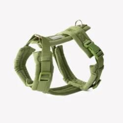 Fluwelen Harnas in groen