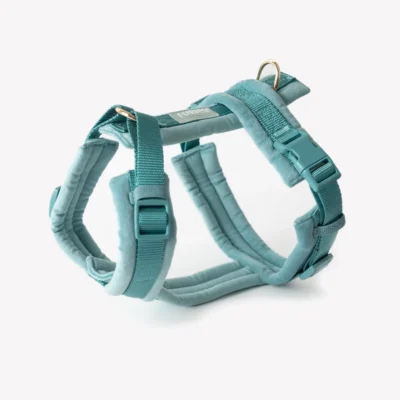 Fluwelen Harnas in Blauw