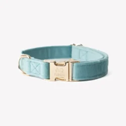 Fluwelen Halsband Blauw