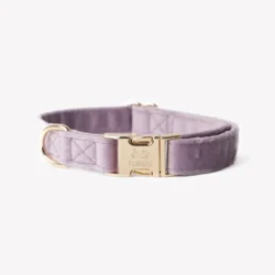 Fluwelen Halsband lila