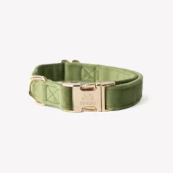Fluwelen Halsband Groen