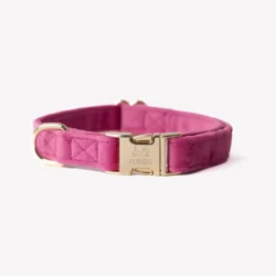 Fluwelen Halsband Fuchia