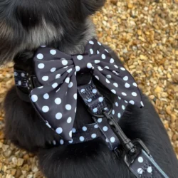 Satijnen Polka Dot Matrozenstrikje van CocoPup London
