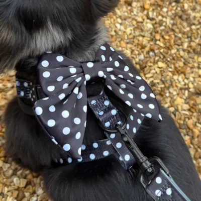 Satijnen Polka Dot Matrozenstrikje van CocoPup London