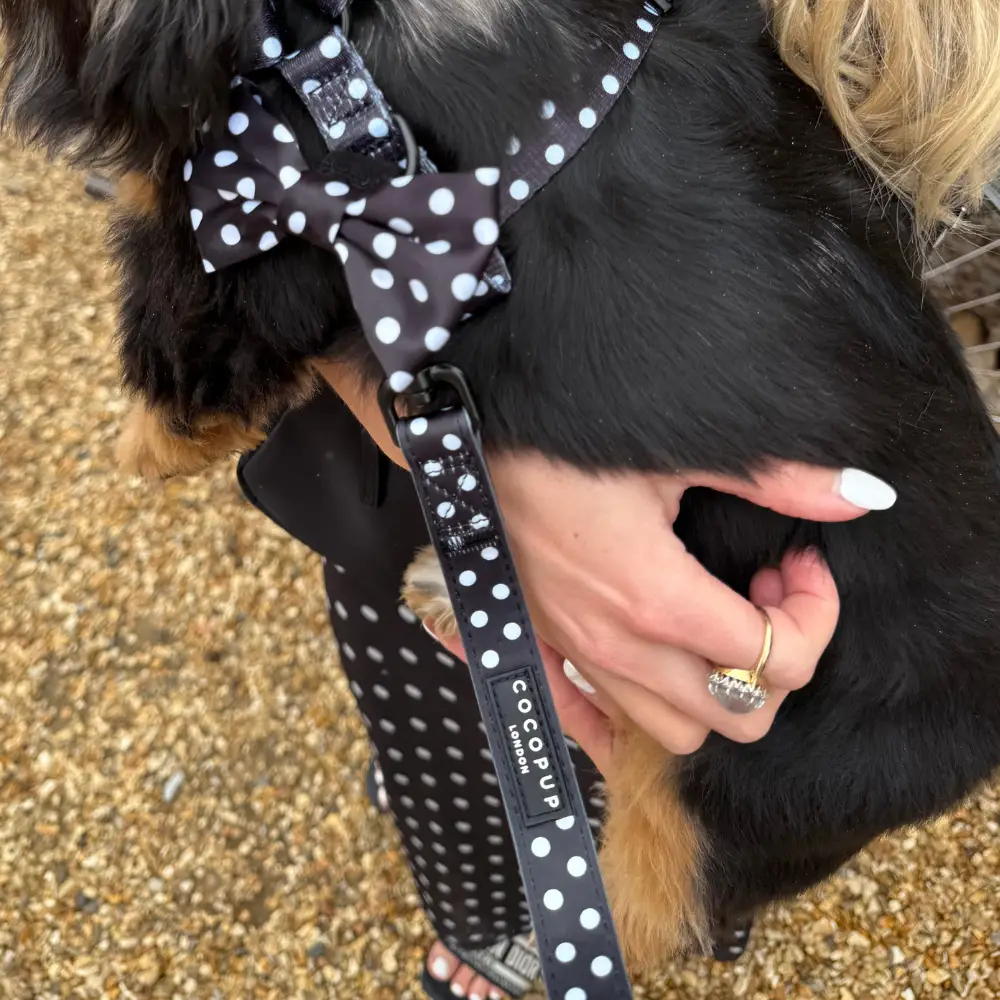 Satijnen Polka Dot Leiband van CocoPup London