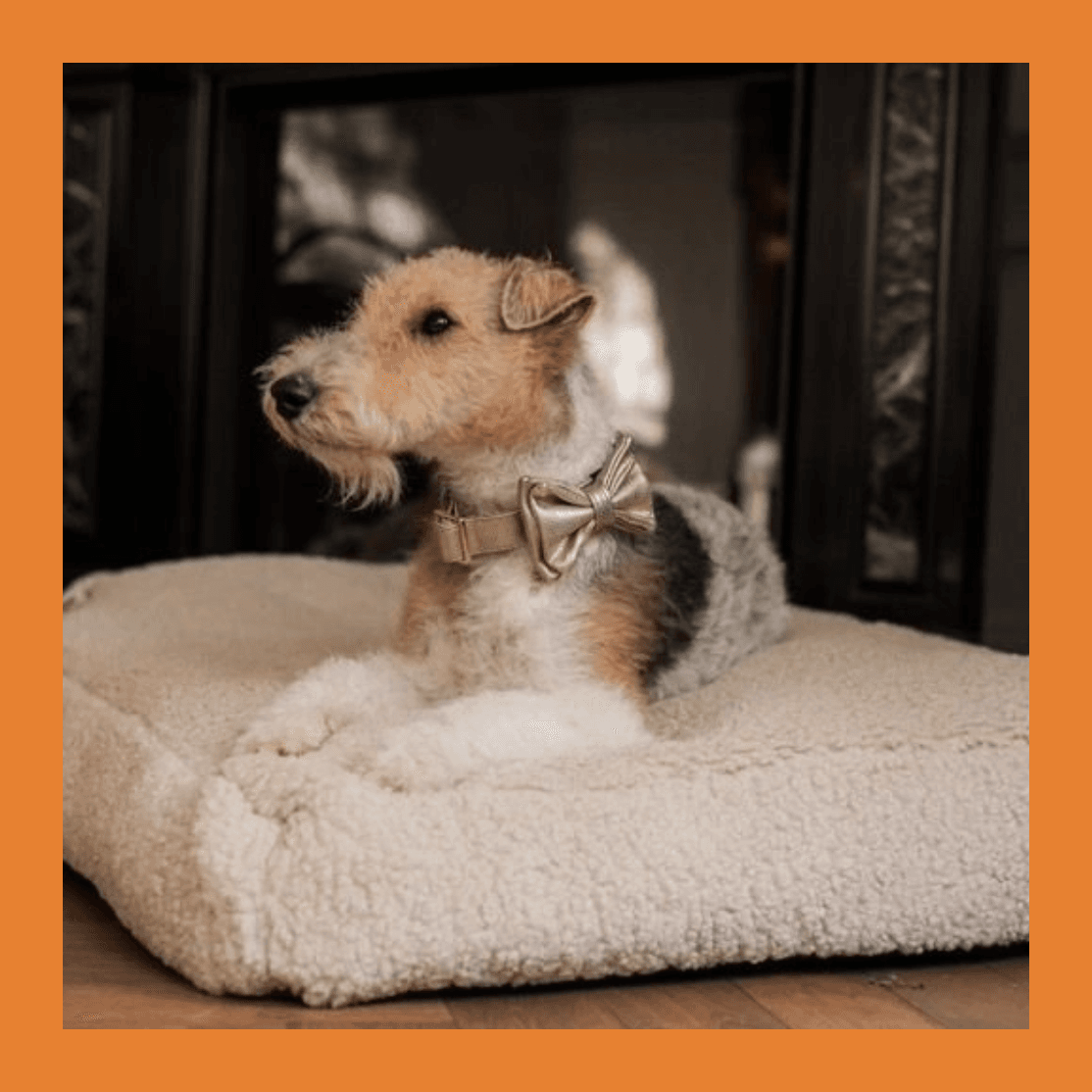 Project Achtergrond verwijderen-6