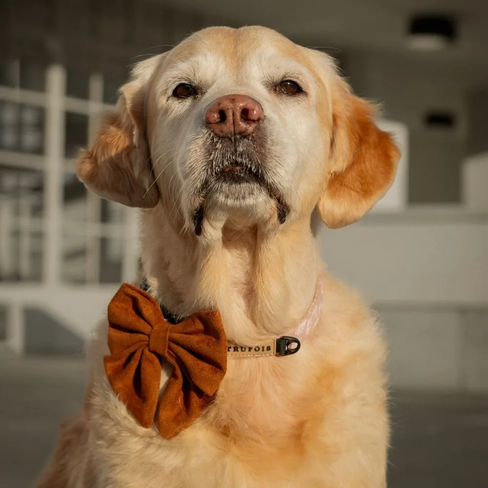 Top Gun Strik - Afbeelding 2