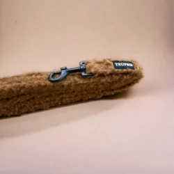 teddy Leiband chocolade