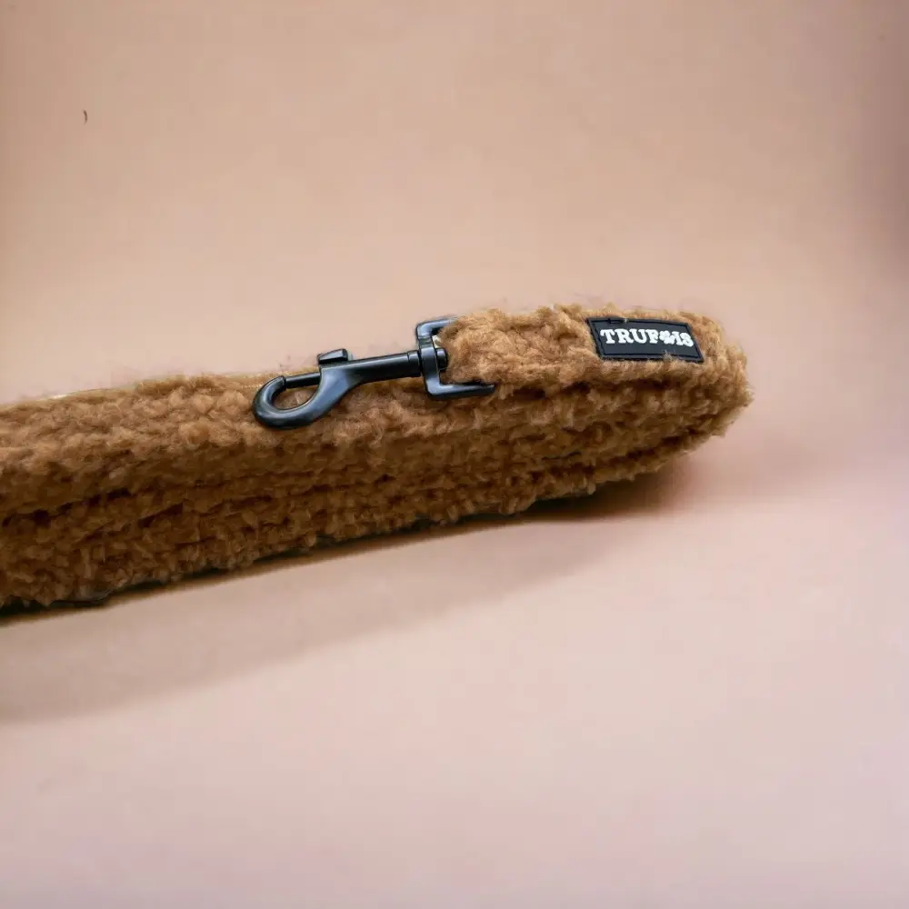 teddy Leiband chocolade