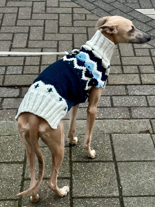 Midnight Ski Trui - Afbeelding 4